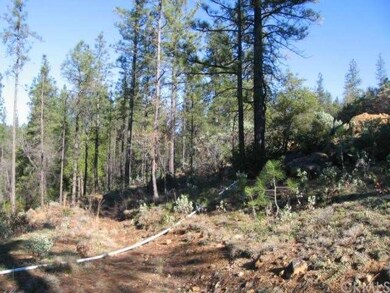 Clearing below irrigation canal
