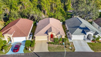 11005 Millbury Ct, New Port Richey, FL 34654 - photo 4