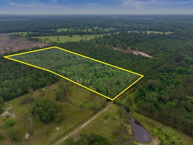 Tract 2 Smith Rd, Cleveland, TX 77328 - photo 4