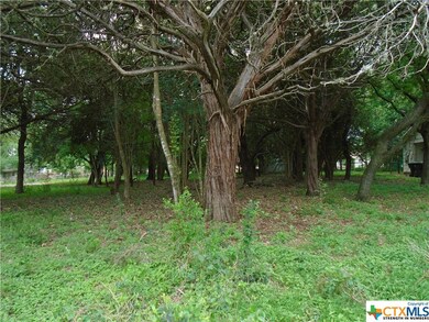 605 Allen St, San Marcos, TX 78666 - photo 4