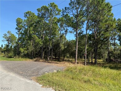 335 N Lindero St, Montura, FL 33440 - photo 7