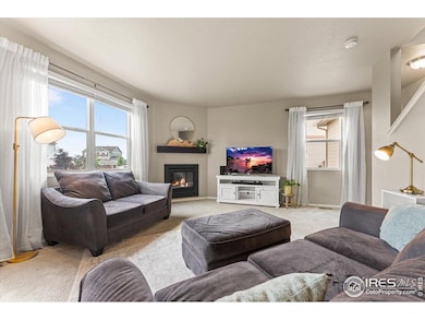 6747 Grainery Rd, Timnath, CO 80547 - photo 4