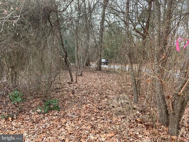 Lot C3 S Mount Laurel Dr unit C3, Dagsboro, DE 19939 - photo 3