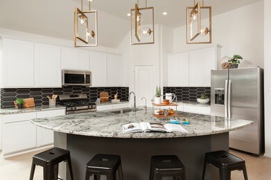 1174 Wandering Brook St, Magnolia, TX 77354 - photo 4