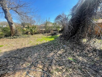 Another view of the backyard.