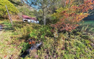 Additional View