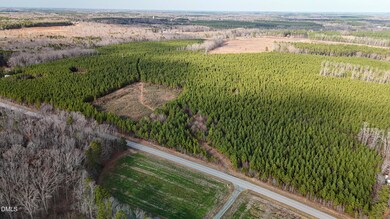 649 Blue Wing Rd, Roxboro, NC 27574 - photo 4