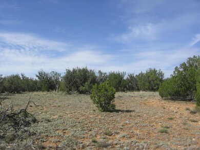 Itasca 5 Acres 006 - Copy