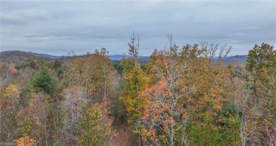 TBD W Us Highway 421, Ferguson, NC 28624 - photo 2