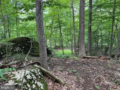 2751 Swamp Creek Rd, Red Hill, PA 18073 - photo 7