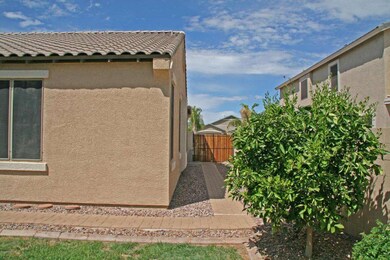 Backyard3