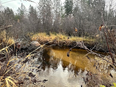 1496 E Hwy 20 #R, Colville, WA 99114 - photo 2