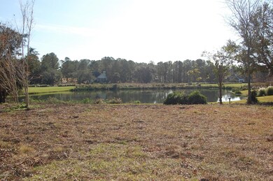 1215 Big Dataw Point, Saint Helena Island, SC 29920 - photo 3