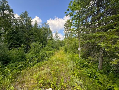 9195 Samuelson Rd, Angora, MN 55703 - photo 2