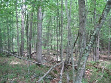 Lot 738 Tink Wig Dr, Lackawaxen Township, PA 18428 - photo 6