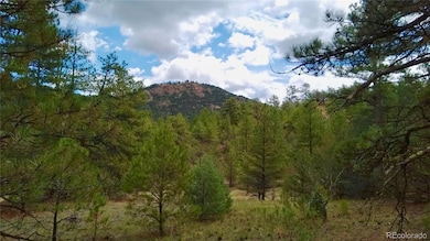 000 Gold Pan Trail, Cotopaxi, CO 81223 - photo 6