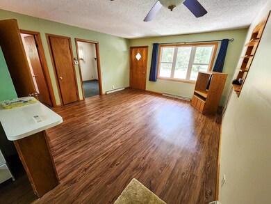 N10659 Poplar Dr, Tomahawk, WI 54487 - photo 6