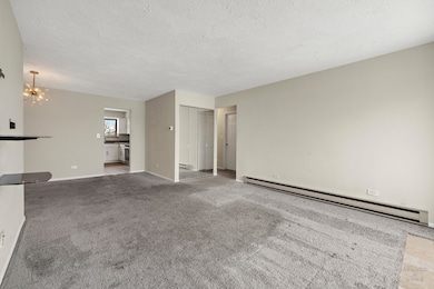 1010 Judson St unit 2A, Bensenville, IL 60106 - photo 6