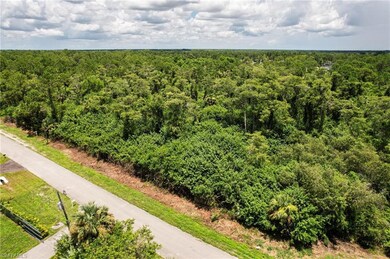 0 16 Ave NE unit 225077178, Naples, FL 34120 - photo 3