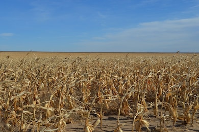 County Road V, Kit Carson, CO 80825 - photo 4