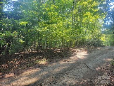 Lot 5 Appaloosa Ln unit 5, Tryon, NC 28782 - photo 2