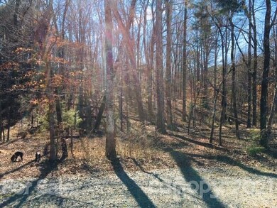 104 Creekview St, Locust, NC 28097 - photo 6