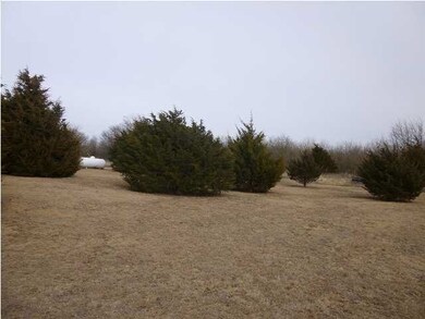 Lots of trees