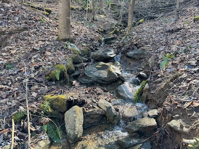 00 Cliffside Dr unit LotWP002, Hayesville, NC 28904 - photo 3