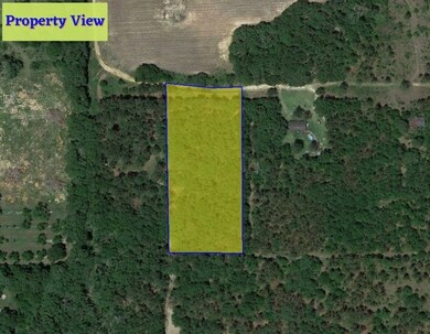 0000 Beulah Ln, Baconton, GA 31716 - photo 4