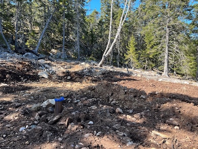 7-2C Main St, Isle Au Haut, ME 04645 - photo 6