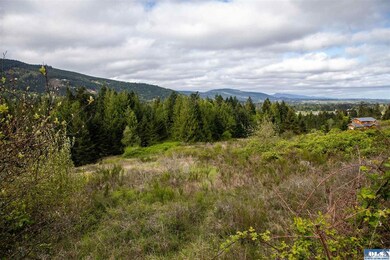 9999 Hillside Dr, Sequim, WA 98382 - photo 3