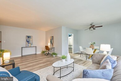 3601 5th St S unit 210, Arlington, VA 22204 - photo 4