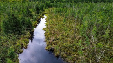 TBD State Highway 210 W, McGregor, MN 55760 - photo 5