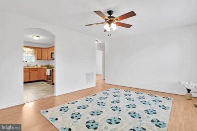 906 Devine Dr, Strasburg, VA 22657 - photo 7