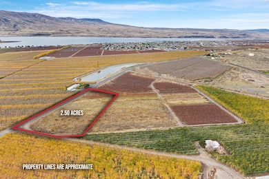 250 E Desert Aire Dr SW unit S, Desert Aire, WA 99349 - photo 2