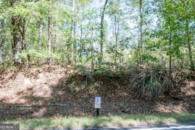 3785 Hwy 140 NE, Rydal, GA 30171 - photo 2