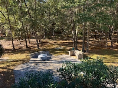 31 Palmetto Point Ln, Edisto Island, SC 29438 - photo 3