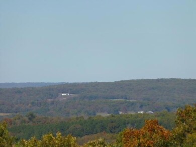 Site View 1
