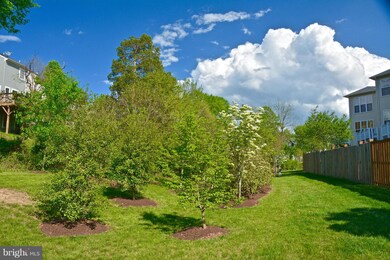 9101 Ribbon Falls Loop, Bristow, VA 20136 - photo 2