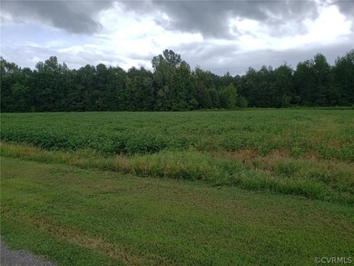 13417 Hines Rd, Disputanta, VA 23842 - photo 2