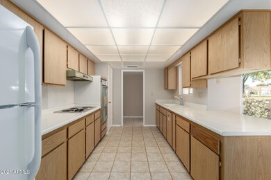 10220 W FORRESTER DR Sun City AZ 85351