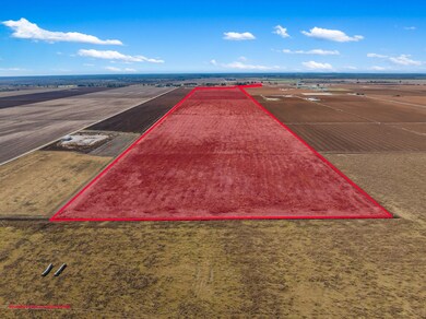 173.62 Acres Farm To Market 50, Hearne, TX 77859 - photo 5