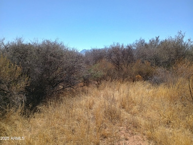 TBD W Desert Mountain Trail, Bisbee, AZ 85603 - photo 5