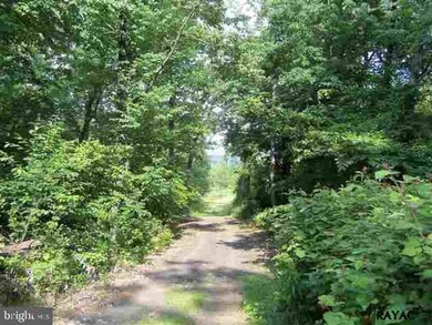 741 Jacks Mountain Rd, Fairfield, PA 17320 - photo 3