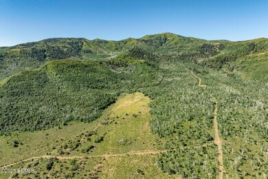 0 No Situs Address unit 12402836, Coalville, UT 84017 - photo 5