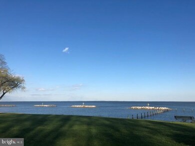 0 Poplar Ave unit MDAA465306, Edgewater, MD 21037 - photo 4