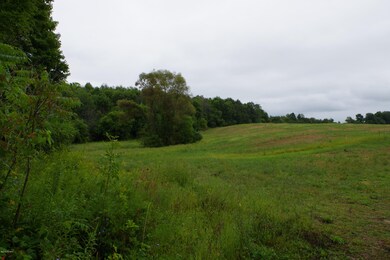 4356 76th St SW unit B, Byron Center, MI 49315 - photo 5