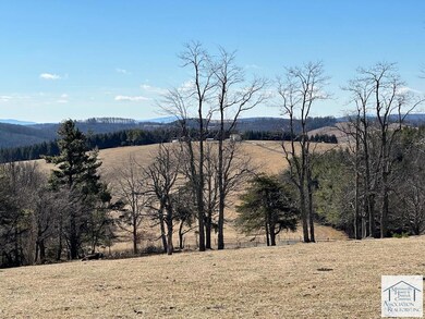 2730 Mountain View Dr, Meadows of Dan, VA 24120 - photo 6