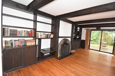 2341 Trillium Ln, Naperville, IL 60565 - photo 4