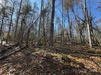 137 Nancy Ashworth Ln unit 13, Fairview, NC 28730 - photo 3